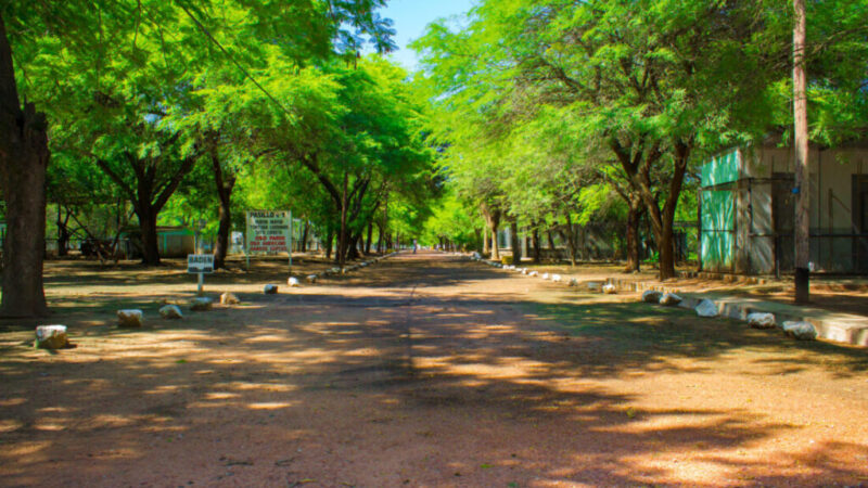 Durante todo el mes de agosto los niños ingresan gratis al Complejo Ecológico Municipal