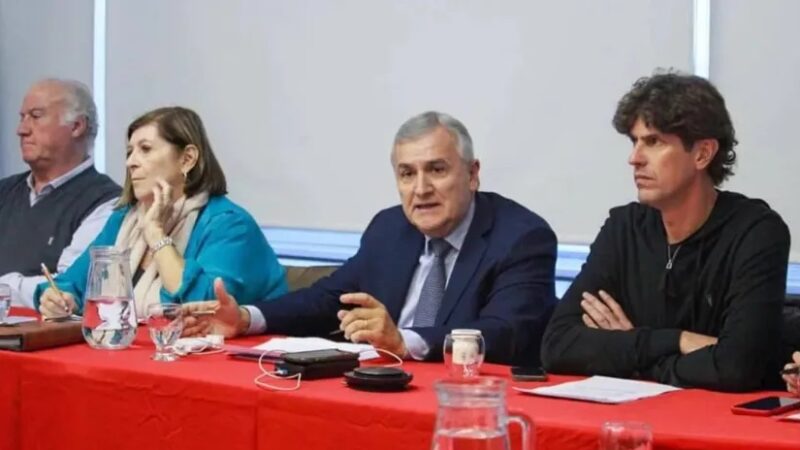 La vice de la UCR adelantó que apoyará a Massa y agita la interna en JxC