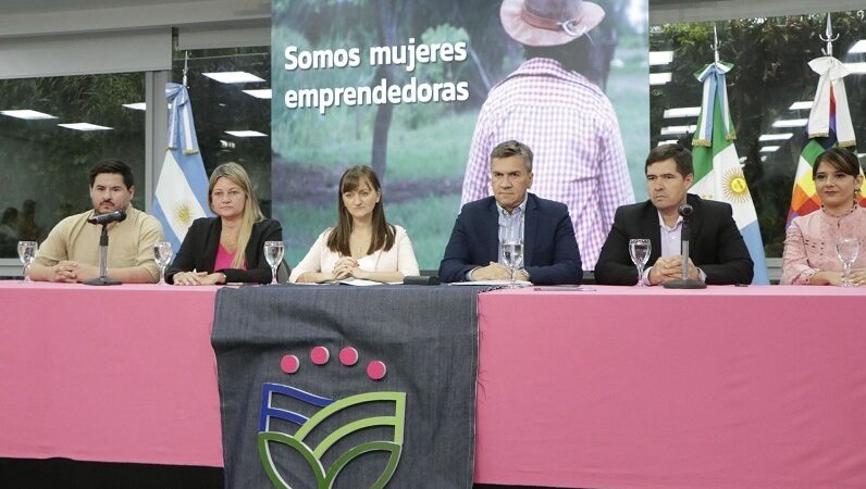 CHACO: El Gobernador Lanzó “Emprende Rosa”, Una Herramienta Financiera Destinada A Emprendedoras.