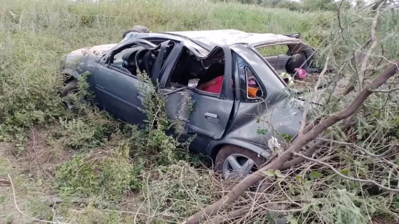 «MUERE MUJER DE 72 AÑOS TRAS TRÁGICO DESPISTE EN RUTA 95 POR ANIMAL SUELTO.»