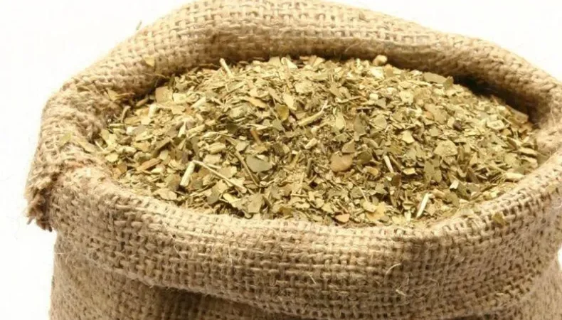 La AFIP elimina trabas en la comercialización y producción de la yerba mate